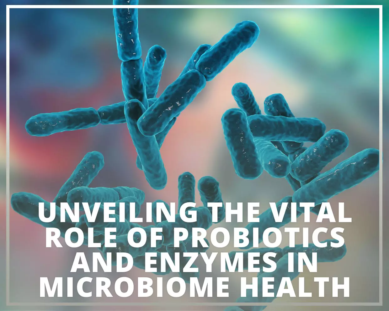 Unveiling the Vital Role of Probiotics and Enzymes in Microbiome Health